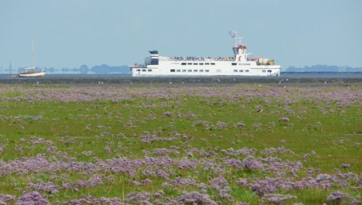 Veerdienst Schiermonnikoog