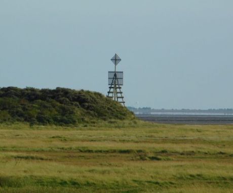 Willemsduin