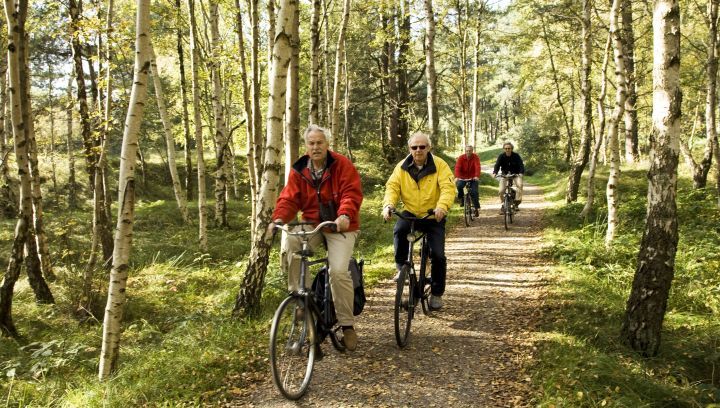 Fietsen huren op Schiermonnikoog