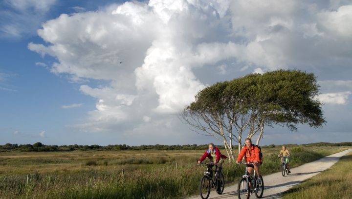 Eiland excursie Schiermonnikoog