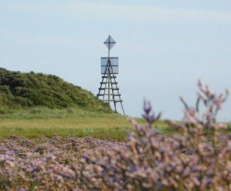 Willemsduin