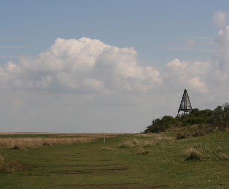 Baken in de Kobbeduinen