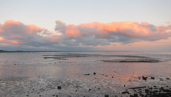 Waddenzee bij Schiermonnikoog