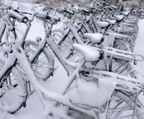 Floor Uilenreef - Fietseiland in elk seizoen