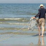 kornetvissen bij Schiermonnikoog (credits de Witte Haas)