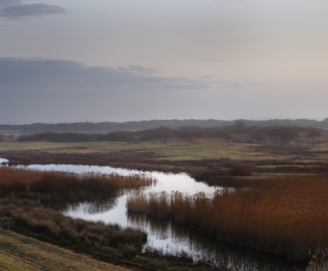 Nevelen over de kwelder