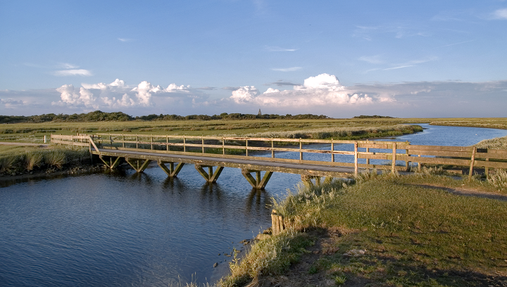 Kwelder Schiermonnikoog