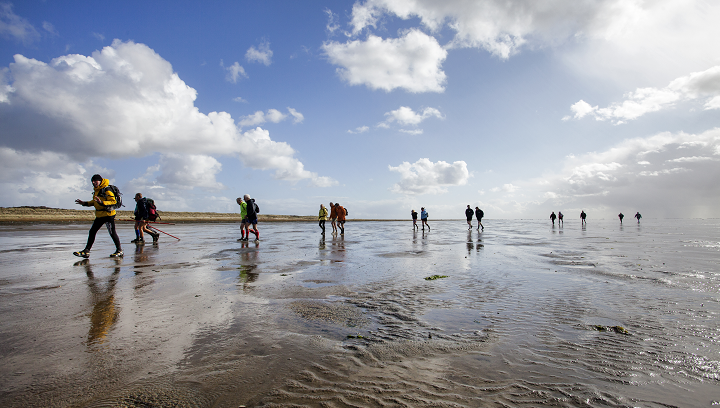 Excursie op Schiermonnikoog