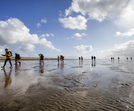 Wadlopen