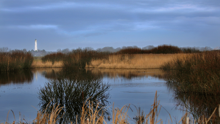 Westerplas op Schiermonnikoog