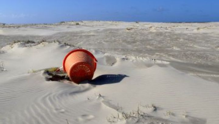 Strand Schiermonnikoog