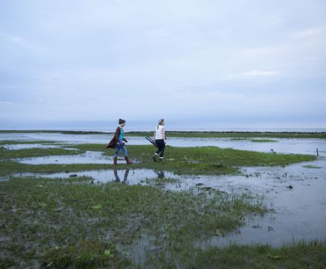 Het Wad onder je voeten