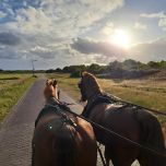 huifkartocht op Schiermonnikoog in en om het dorp