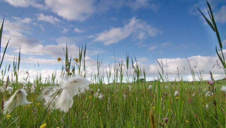 Nationaal Park Schiermonnikoog