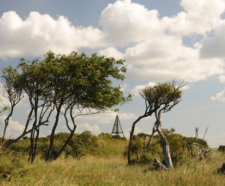 Kobbeduinen
