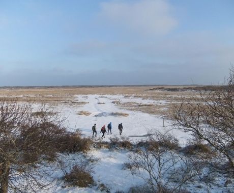 Henk Mulder - Wandelaars in Kobbeduinen