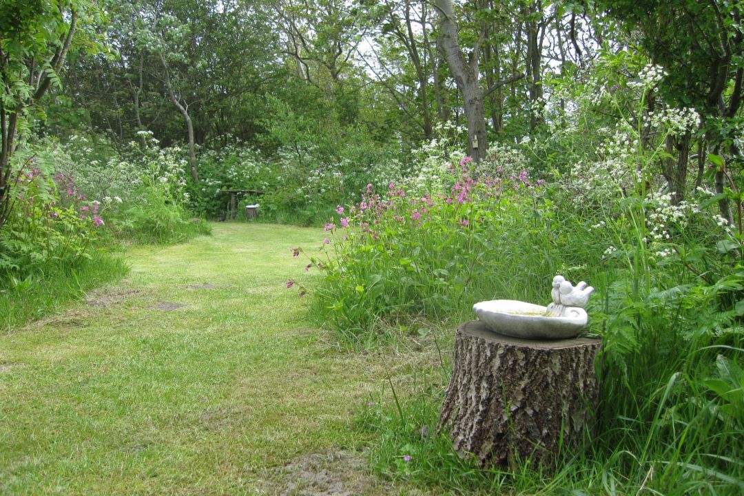 De Witte Bezem | Rustig vakantiehuis in de duinen