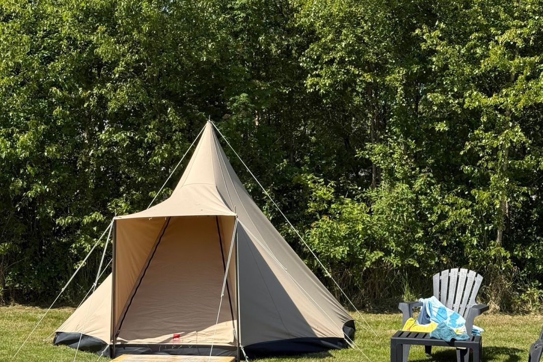 Duintent Zeemelkdistel | Kamperen op Schiermonnikoog