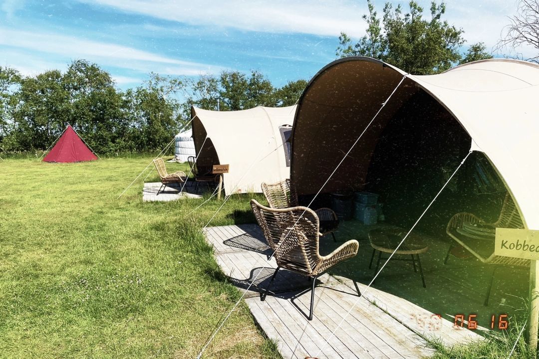 Recreatieboerderij de Oorsprong - Stuifduin de Waard tent