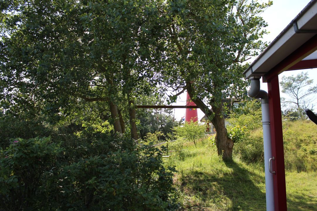 Vakantiehuis Winterkoning – Duinhuis voor 4 pers. op Schiermonnikoog