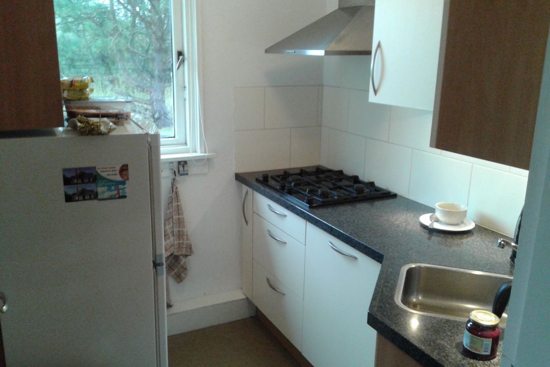 De Schelp
