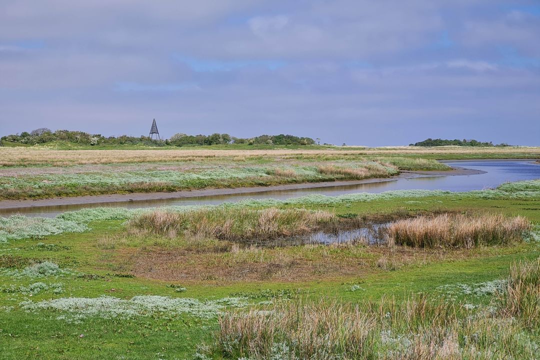 Bungalow Oebele op Schiermonnikoog