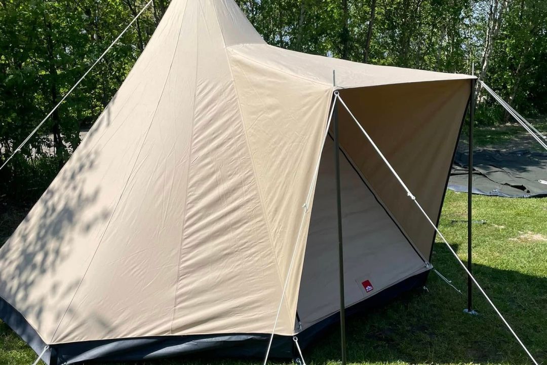 Duintent Zeemelkdistel | Kamperen op Schiermonnikoog