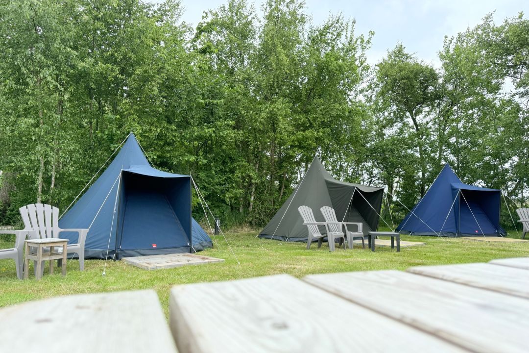 Duintent Zeealsem | Knus tentje op Schiermonnikoog