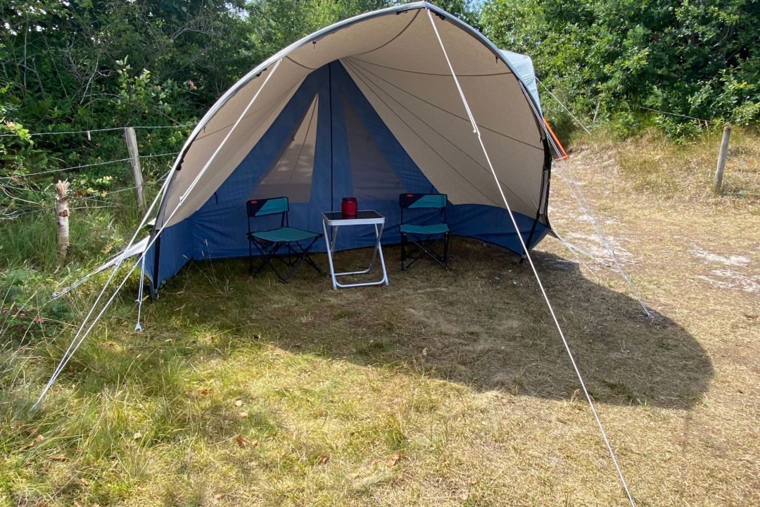 Waddenhop - Pimpelmees tent