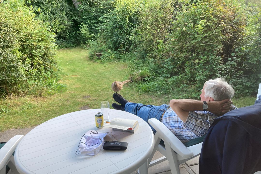 De Witte Bezem | Rustig vakantiehuis in de duinen