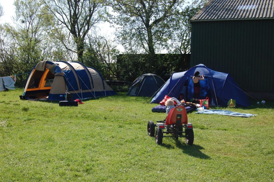Boerencamping Springfield – kleinschalig kamperen op Schiermonnikoog