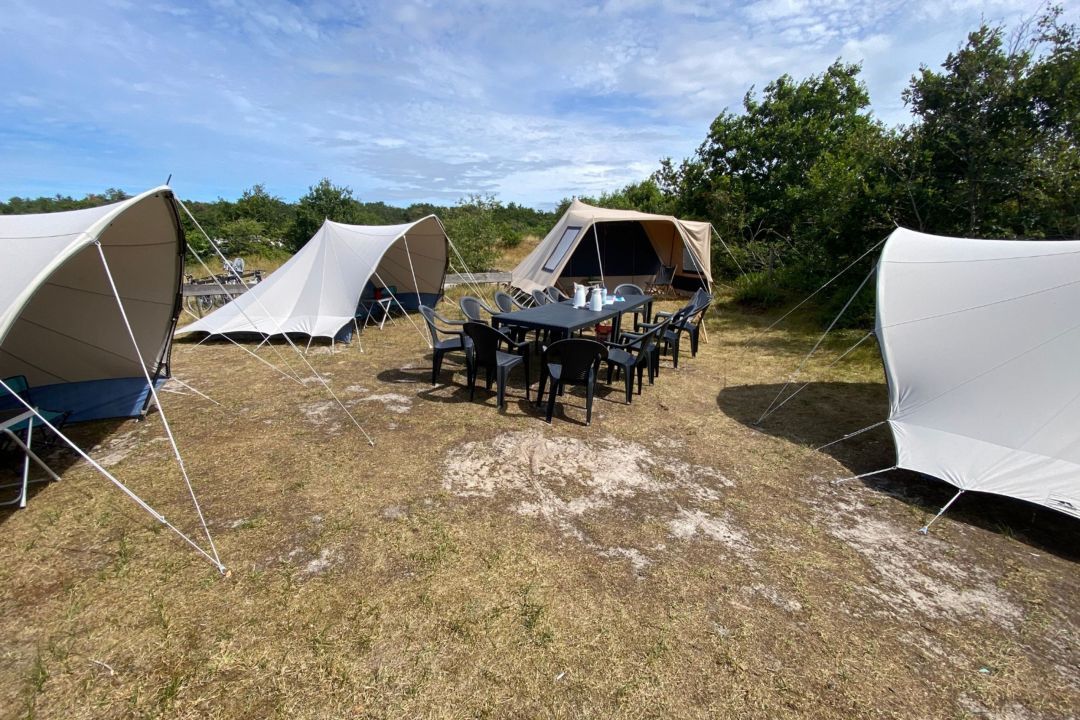 Waddenhop - Pimpelmees tent