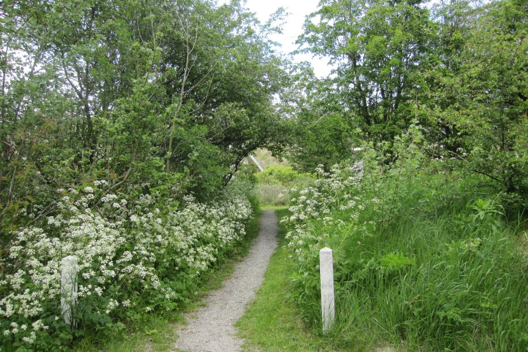 De Witte Bezem | Rustig vakantiehuis in de duinen
