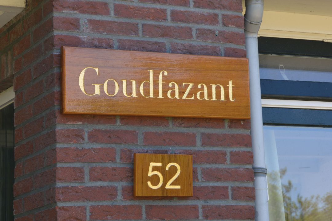 Goudfazant
