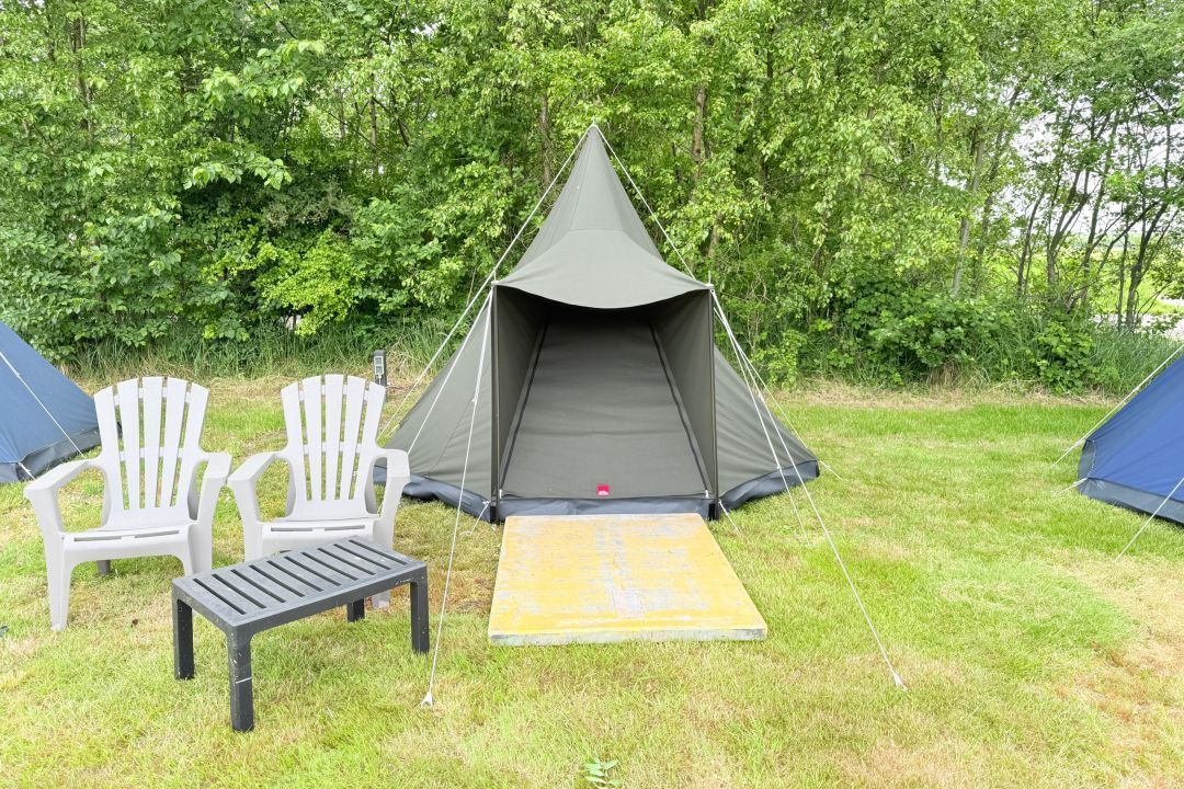 Duintent Zeemelkdistel | Kamperen op Schiermonnikoog