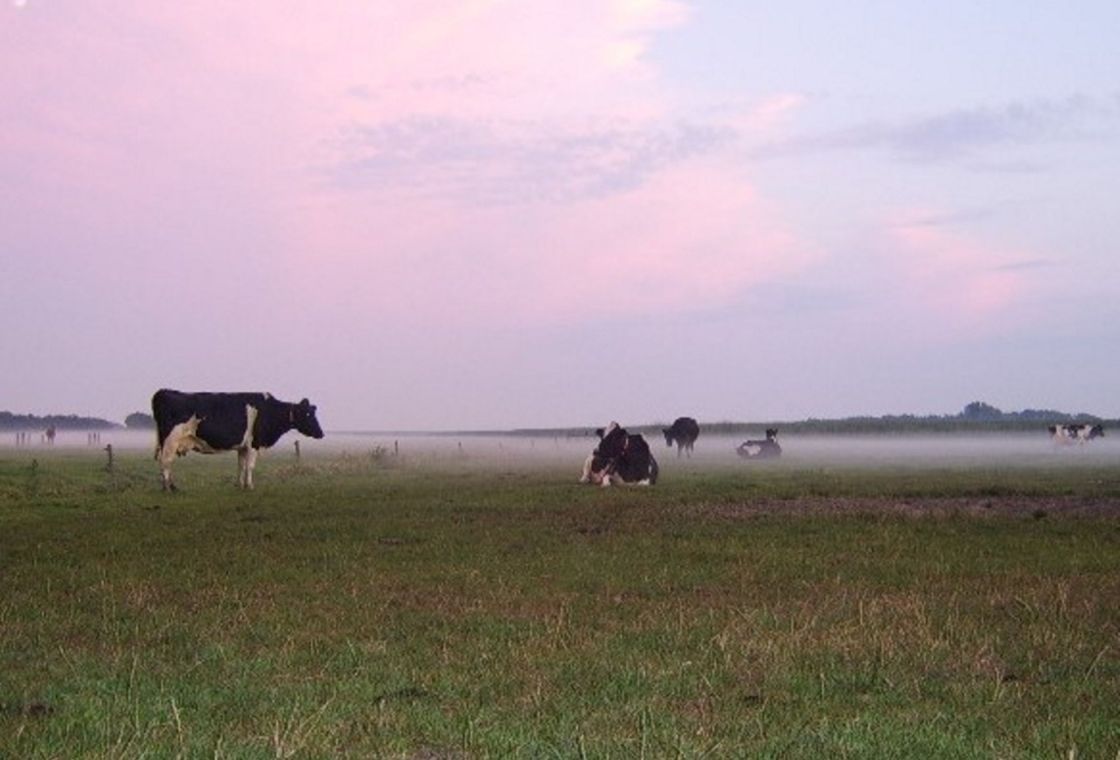 Kampeerboerderij de Duinhoeve