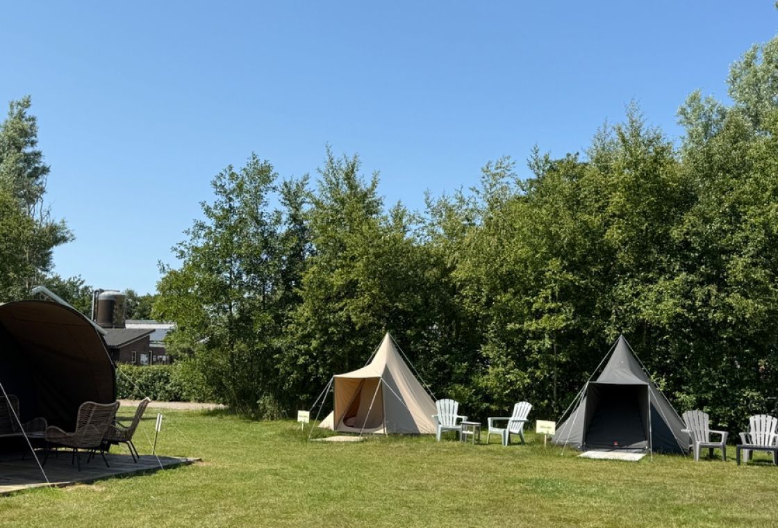 Duintent Zeemelkdistel | Kamperen op Schiermonnikoog