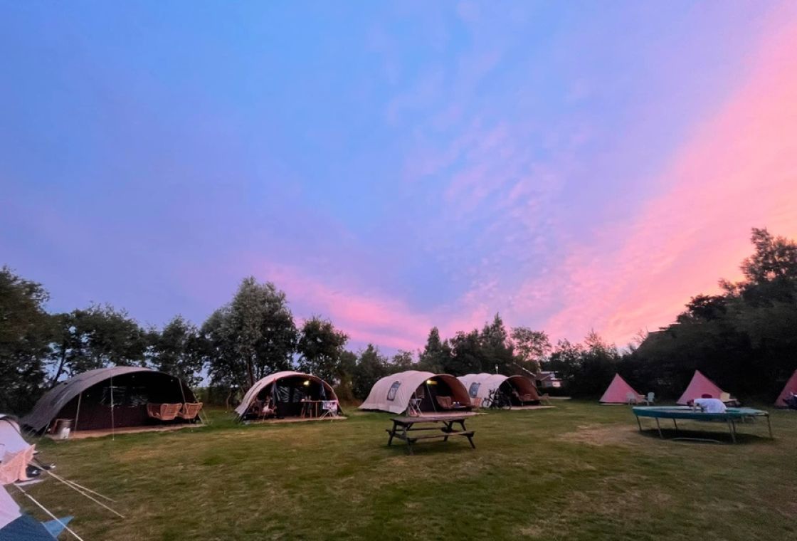 Duintent Zeemelkdistel | Kamperen op Schiermonnikoog