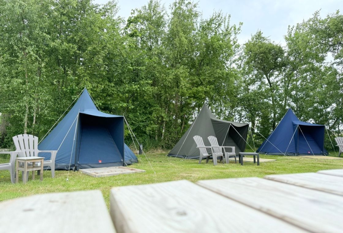 Duintent Zeealsem | Knus tentje op Schiermonnikoog