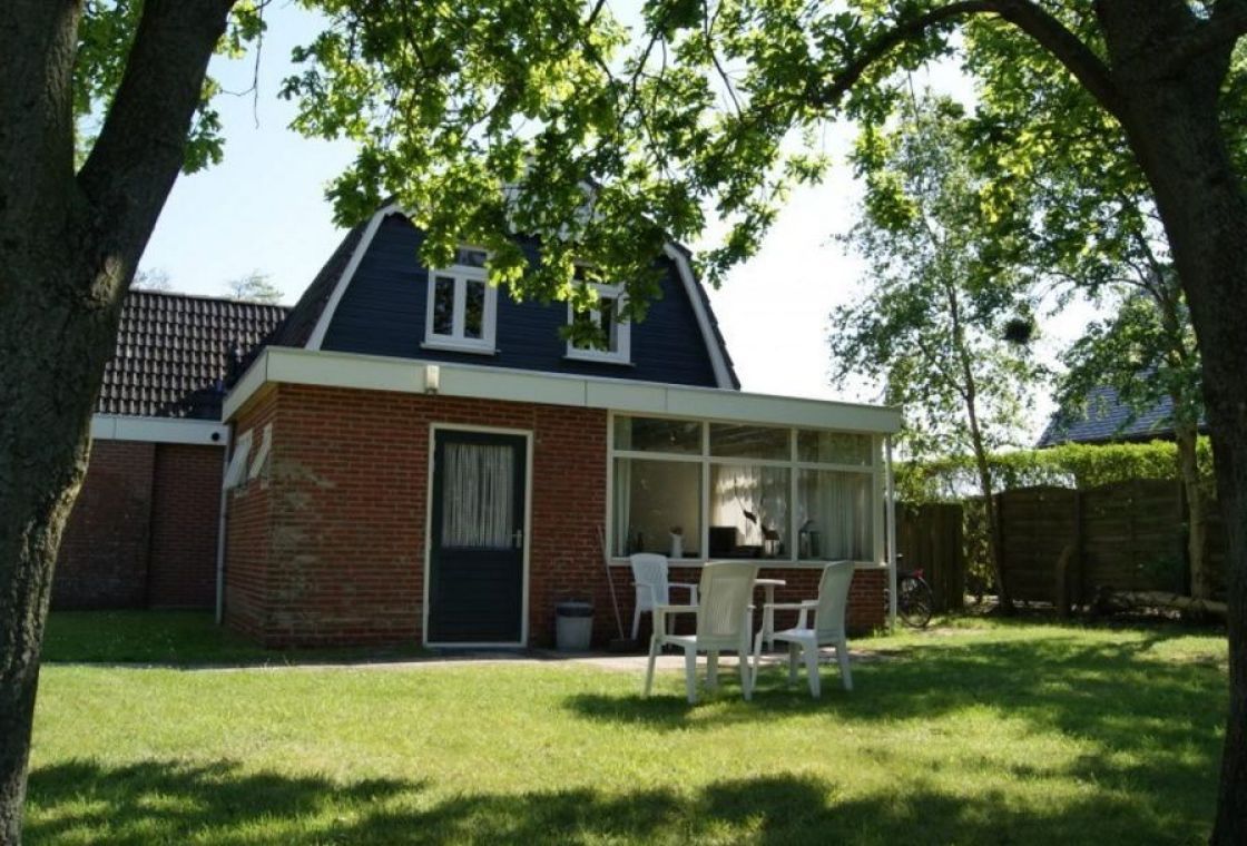 Sinneblom