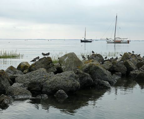 Dobberen op het ritme van het Wad