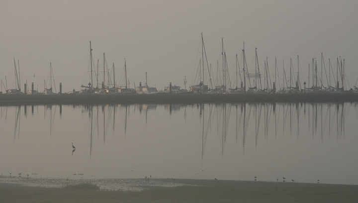 Jachthaven Schiermonnikoog