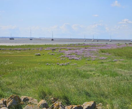 voor anker net buiten de haven
