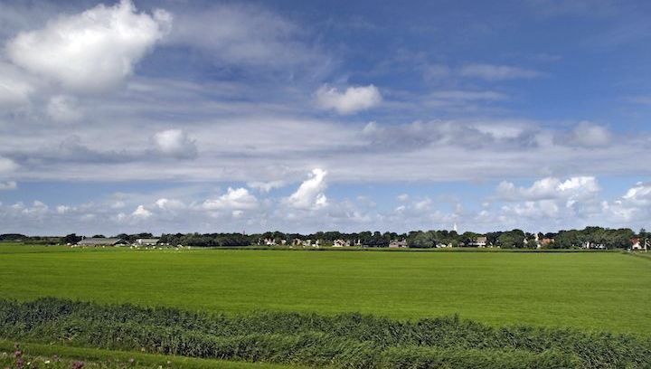 Polder Schiermonnikoog