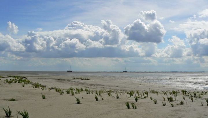 Wad Schiermonnikoog