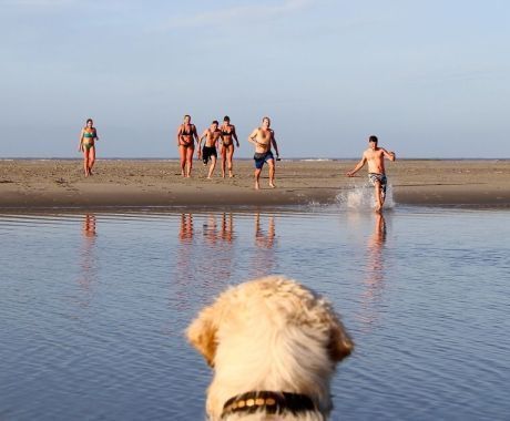 Okko Veling - Nieuwjaarsduik