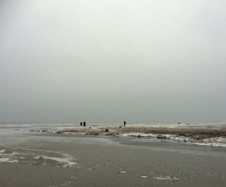 Odra Litjens - Schiermonnikoog in topvorm