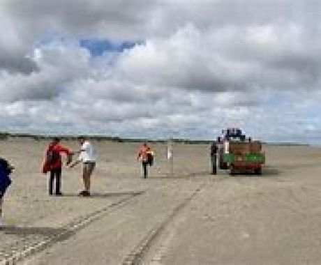 Afval verzamelen op het strand