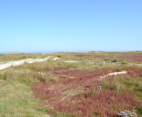 Op zoek naar strandpaal 14