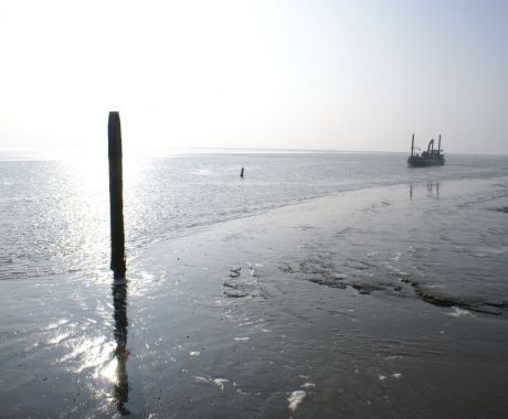 Sabine Hack - Waddenzee